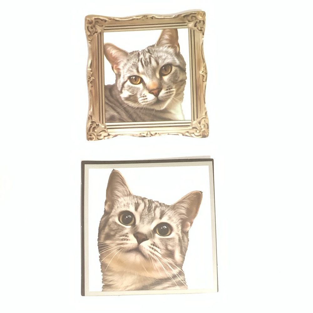 Cat Portrait Vinyl Stickers